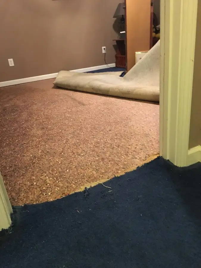 Carpet pad removal revealing water damage during Drying & Dehumidification in Middle Paxton